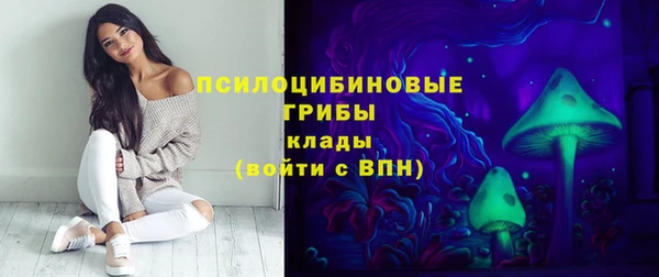 сатива Абинск